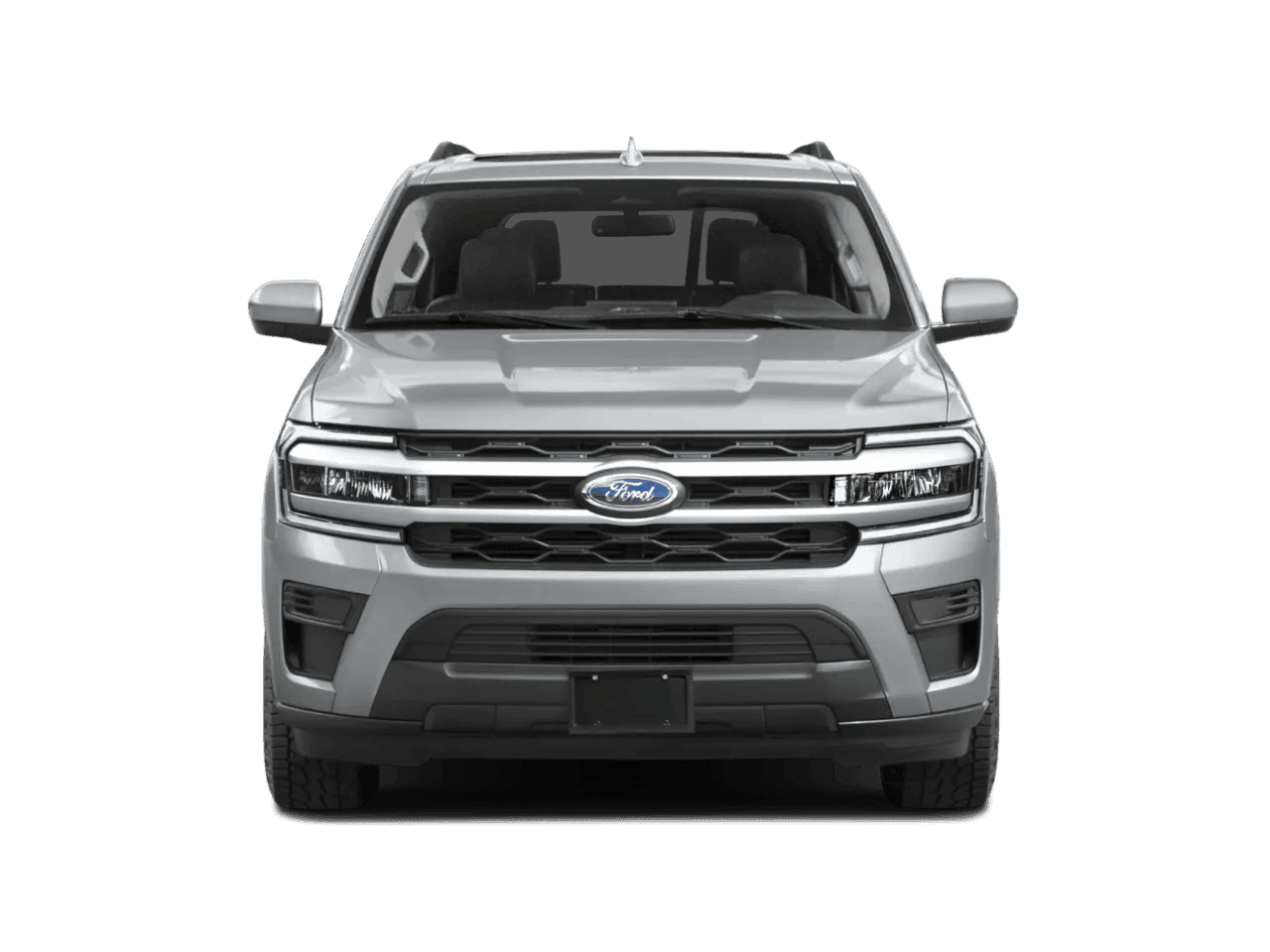 Expedition Silver